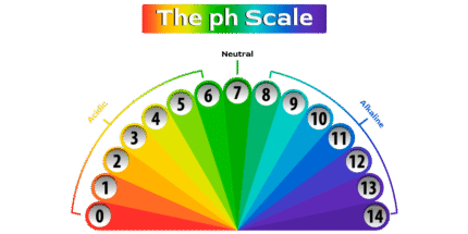 pH Sacle