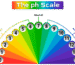 pH Sacle